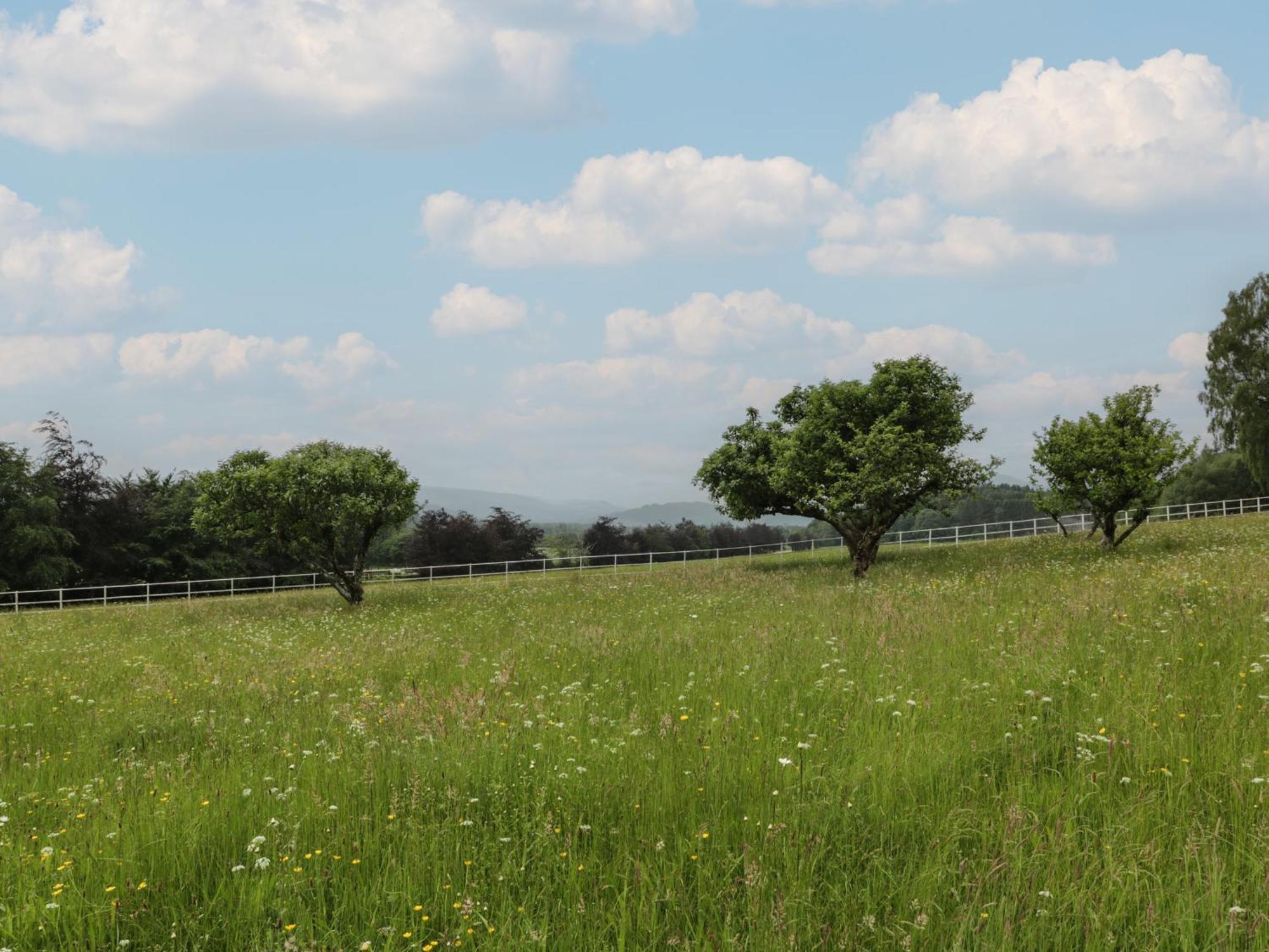 Fordie East Cottage Crieff Εξωτερικό φωτογραφία